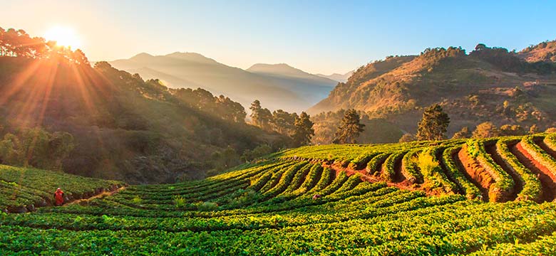 Pacote para Indochina com Grupo Brasileiro